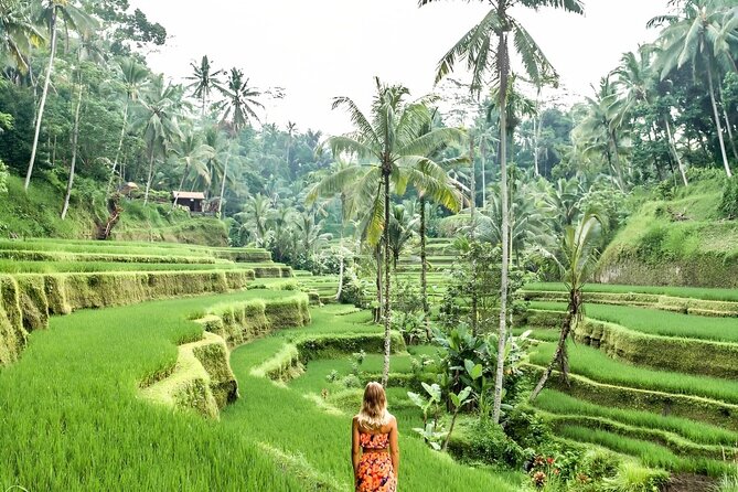 Bali Shore Excursions : Best of Bali Tour - Comfort matters on an eight-hour outing