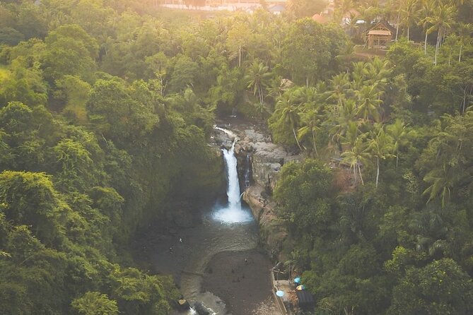 Bali Shore Excursions : Best of Bali Tour - Tegenungan Waterfall brings nature into the day