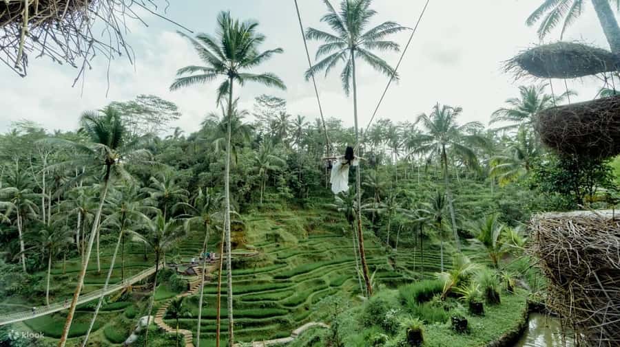 BALI SHORE EXCURSIONS: EXPLORING THE EXOTIC OF BALI - Temples and countryside with Dian Hadi