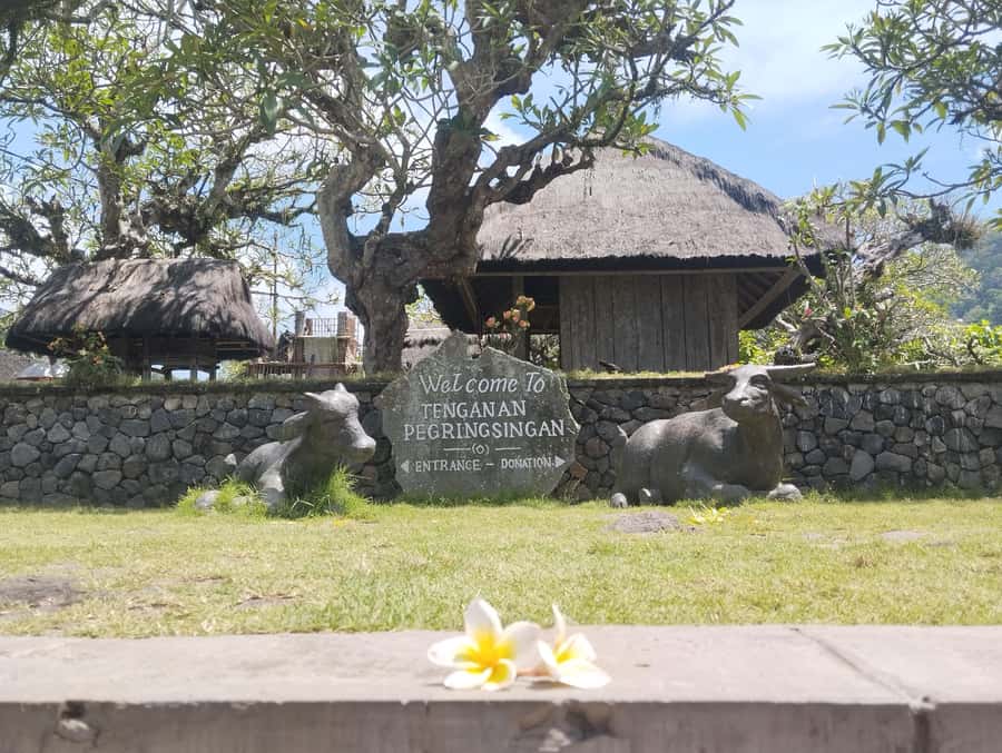 BALI SHORE EXCURSIONS: EXPLORING THE EXOTIC OF BALI - What is not included, and why it matters