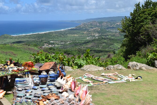 Barbados Shore Excursion: Bajan Highlights - A practical half-day tour from Bridgetown