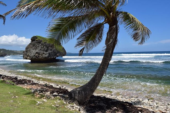 Barbados Shore Excursion Barbados Paradise Sightseeing Tour - Why this six-hour Barbados tour works well