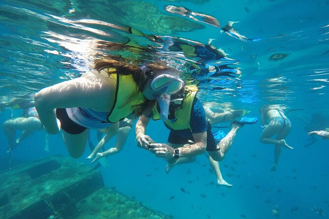 Barbados Shore Excursion: Barbados Surf & Turf - The Tranquility Cruises turtle and shipwreck trip