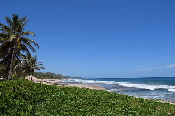 Barbados Shore Excursion: Barbados Surf & Turf - Bathsheba’s East Coast scenery