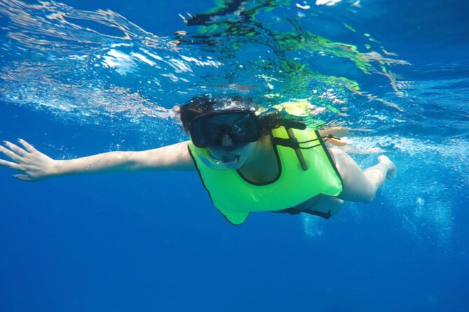 Barbados Shore Excursion: Carlisle Bay Turtle & Shipwreck - Who will enjoy this most?