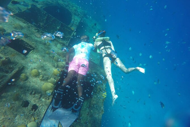 Barbados Shore Excursion Island Tour and Snorkel Cruise - What the $109 Price Really Buys