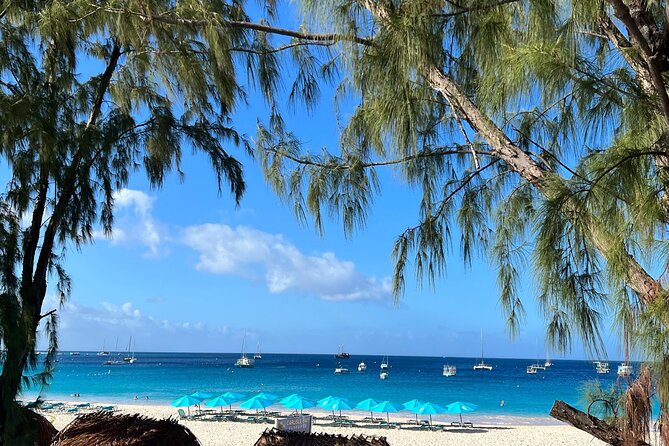 Barbados Shore Excursion Snorkel cruise and Beach Day - Practical details that can save your day
