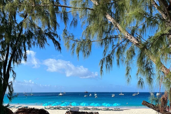 Barbados Shore Excursion: Wildlife Encounter and Beach Day - The optional boat trip to turtles and a shipwreck