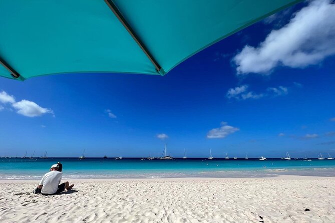 Barbados Shore Excursion: Wildlife Encounter and Beach Day - Transport, group size, and cruise-day timing