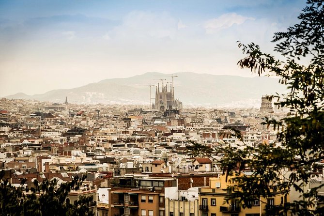 Barcelona Private 4 hours Shore Excursion with private vehicle and guide - Key points to know before booking