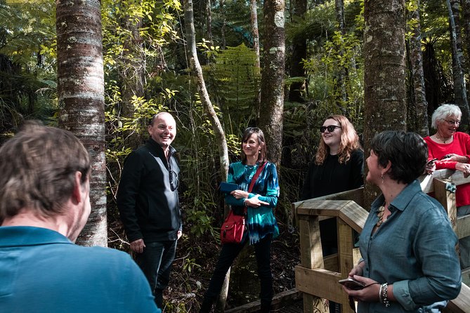 Bay of Islands Glow Worm Caves & Scenic Shore Excursion - Paihia Harbour gives you a quick orientation