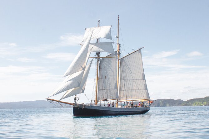 Bay of Islands Glow Worm Caves & Scenic Shore Excursion - What the vehicle and group experience may be like