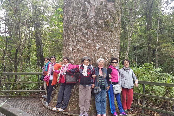Bay of Islands Shore Excursion: Puketi Rainforest Guided Walk - What the guides add to the experience
