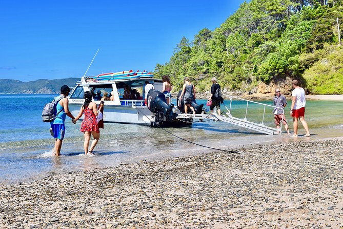 Bay of Islands Shore Excursion: Puketi Rainforest Guided Walk - Who will enjoy this rainforest excursion?