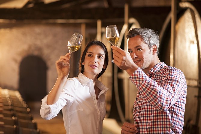 Bella Toscana Private Tour: 2 Chianti Wineries and San Gimignano From Livorno - Who should book this seven-hour Tuscan day