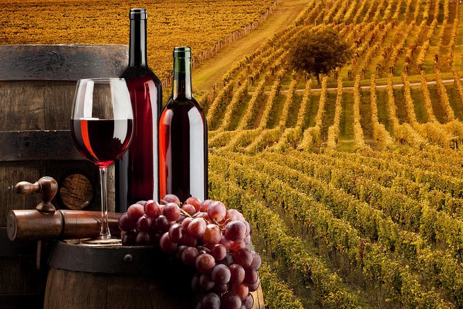 Bella Toscana Private Tour: 2 Chianti Wineries and San Gimignano From Livorno - Should you book Bella Toscana’s private tour?