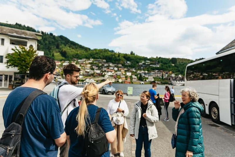 Bergen: Waterfalls of Hardangerfjord Shore Excursion - Hardangerfjord views and the rock carvings