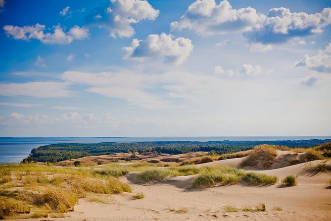 Best of Klaipeda & Curonian Spit Join-in Shore Excursion - The Grey Dunes and Nida
