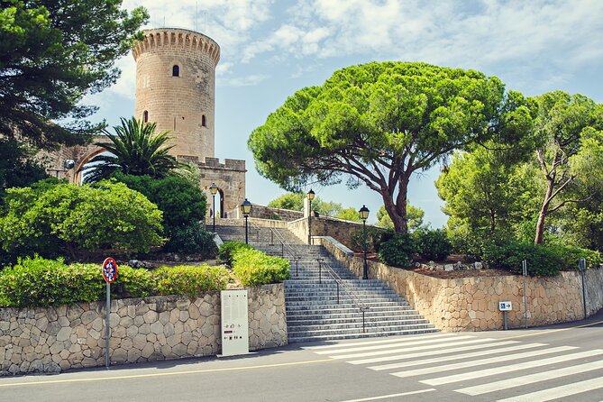 Best Palma de Mallorca and ValLdemossa Tour from Cruise Port - Palma’s marina and the monumental center