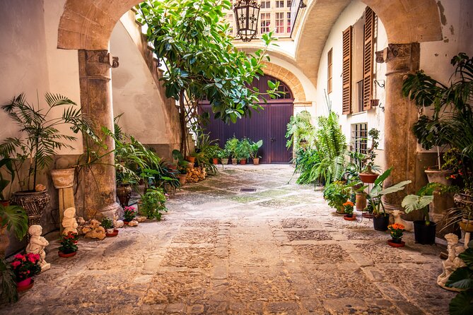 Best Palma de Mallorca and ValLdemossa Tour from Cruise Port - Bellver Castle and the best viewpoint