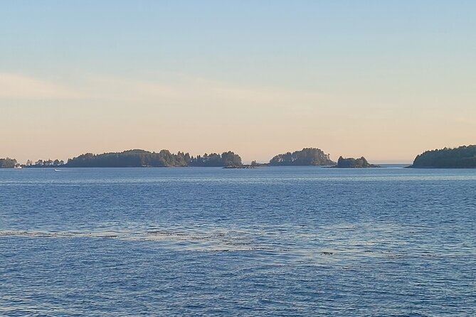 Best Whale Watching and Wildlife Shore Excursion in Sitka - Weather, timing, and the cruise-port promise
