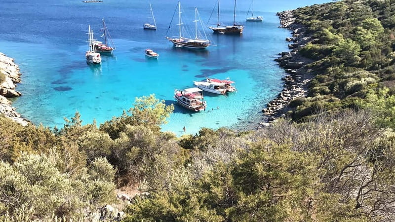Bodrum: Boat Tour for Mein Schiff and Aida Cruise Passengers - Key Points Before You Book