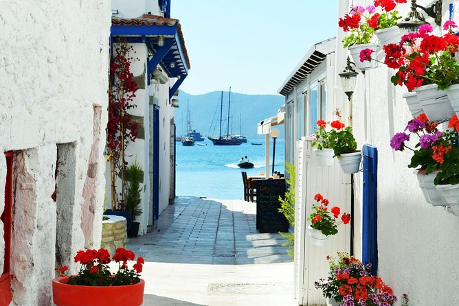 Bodrum Shore Excursion: Private Bodrum Express Sightseeing Tour - What the small amount of feedback tells you