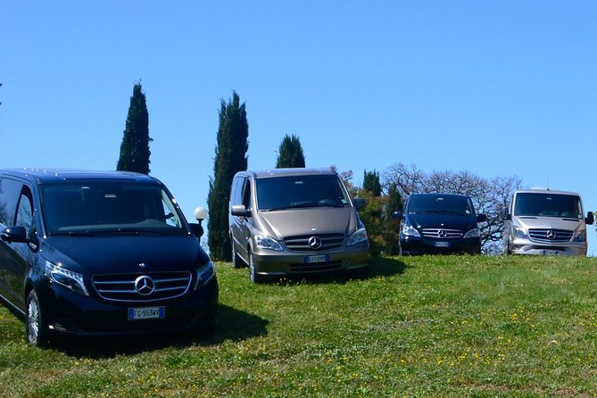Bolgheri Wine Tour from Livorno - Wine tasting with regional food