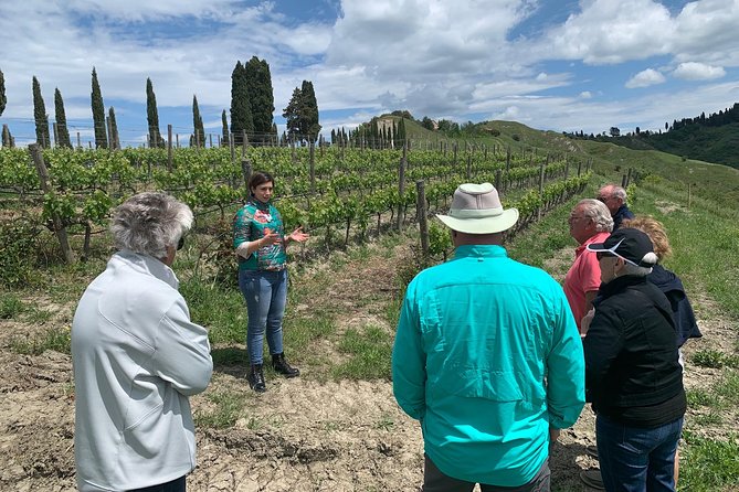 Bolgheri Wine Tour from Livorno - Lunch in a traditional local restaurant