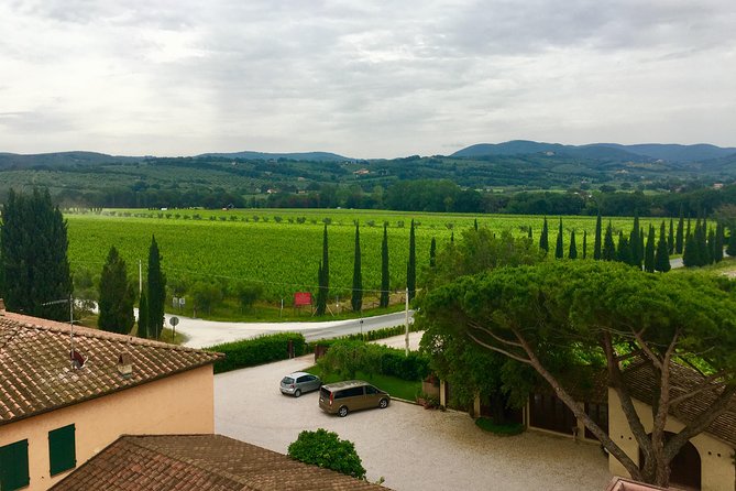 Bolgheri Wine Tour from Livorno - Castiglioncello and the Tuscan coast