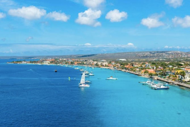Bonaire Shore Excursion: The Bonaire Highlights Tour - Goto Lake and Bonaire’s pink flamingos