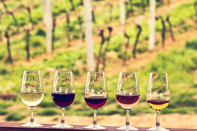 Bordeaux Cruise Port Shore Excursion: Full-Day Private Medoc Wine Tour - Why this Médoc day works well from a cruise ship