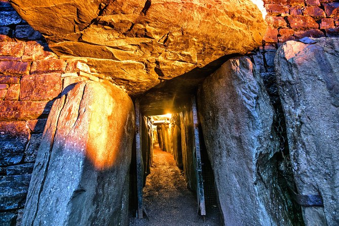 Boyne Valley, Meath - Private Shore Excursion - The price, group size, and practical value