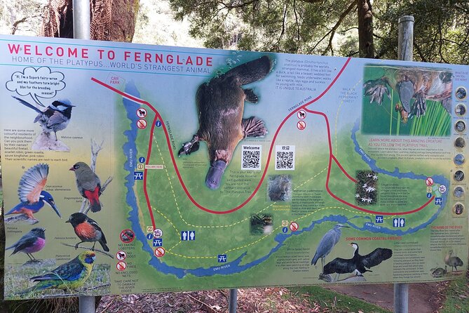 Burnie Attractions Bus: Burnie Shore Excursion - Fern Glade offers a quieter wildlife stop
