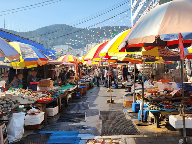 Busan: City Tour Shore Excursion for Cruise Guests - What makes this Busan shore excursion worth considering