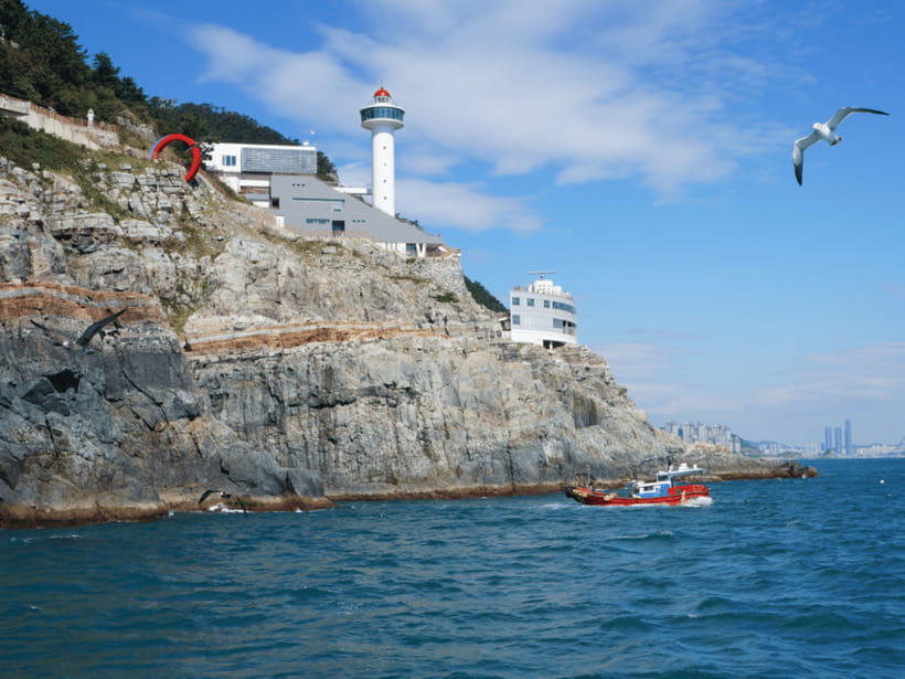 Busan: City Tour Shore Excursion for Cruise Guests - Jagalchi Market gives the finale a local flavor