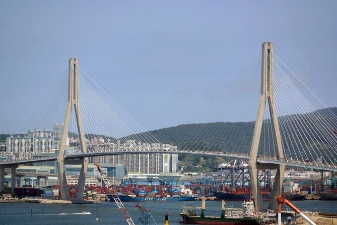 Busan CUSTOMIZED Tour for PRIVATE GROUP CRUISE PASSENGERS - Why this private Busan tour works for cruise passengers