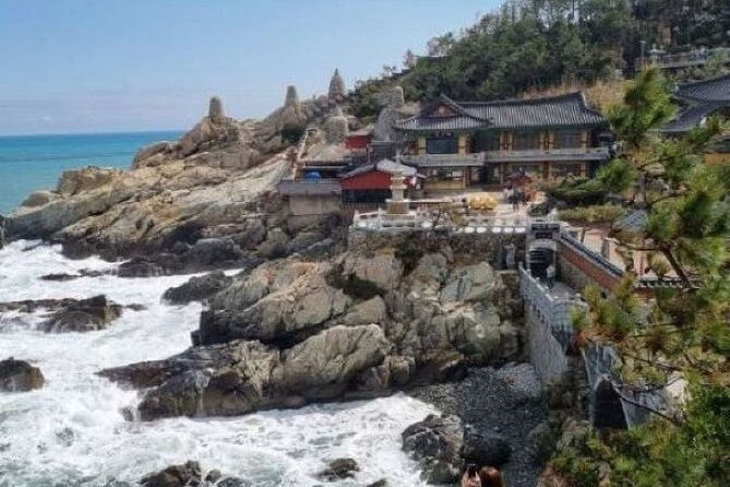 Busan CUSTOMIZED Tour for PRIVATE GROUP CRUISE PASSENGERS - Gukje and Jagalchi, the markets you should protect