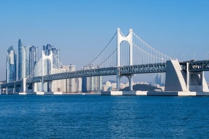 Busan CUSTOMIZED Tour for PRIVATE GROUP CRUISE PASSENGERS - Haeundae’s coast, from Dalmaji-gil to Dongbaekseom