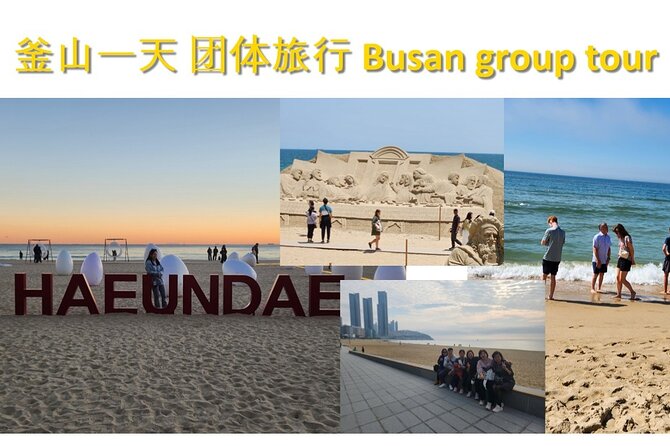 Busan Group Tour for Cruise ship passengers (Max 12 Guests) - Gamcheon Culture Village and its refugee history