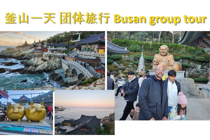 Busan Group Tour for Cruise ship passengers (Max 12 Guests) - Haedong Yonggungsa Temple and the eastern coast