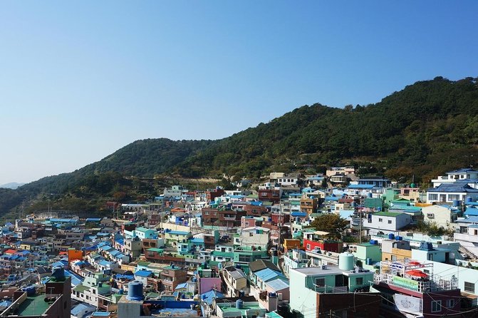 Busan Highlights Shore Tour – Cruise Return Assured - Five things to know before you book