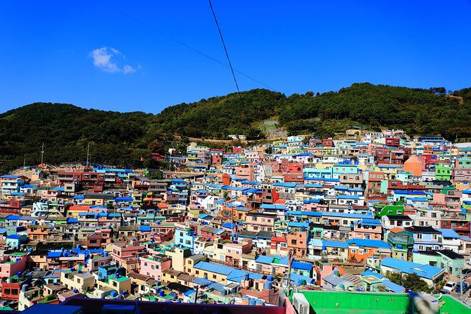 Busan Highlights Shore Tour – Cruise Return Assured - Why this route works for a cruise stop