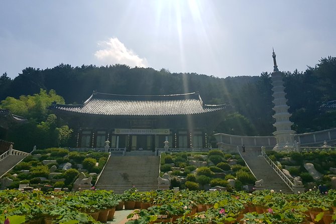 Busan Highlights Shore Tour – Cruise Return Assured - Korean lunch: worthwhile cultural time