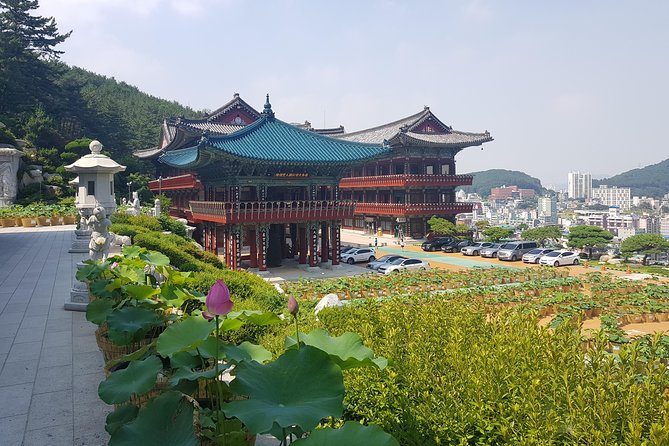 Busan Highlights Shore Tour – Cruise Return Assured - Hwangnyeongsan Mountain: Busan from above