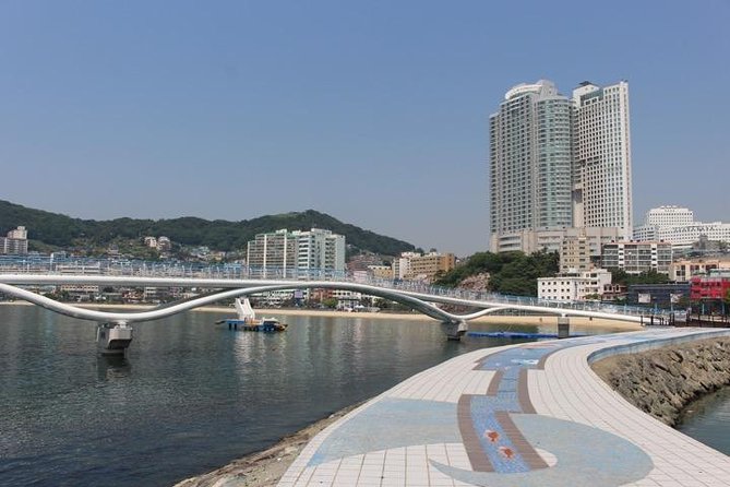 Busan Highlights Shore Tour – Cruise Return Assured - Gamcheon Culture Village: color, stairs, and a complicated past