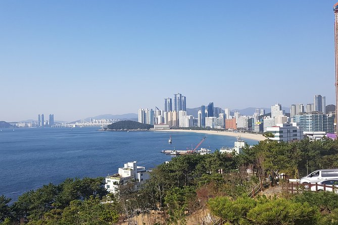 Busan Shore Excursion; Private City Tour - Key things to know before booking