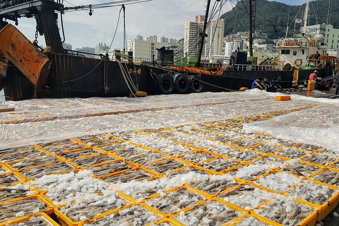 Busan Shore Excursion; Private City Tour - Haeundae Beach: Busan’s best-known shore