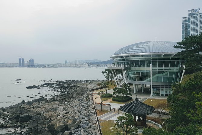 Busan Shore Excursion; Private City Tour - BIFF Square: A short stop in Busan’s film district