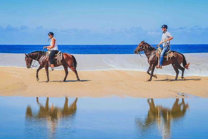 Cabo Shore Excursion: Beach Horseback Ride & Tequila Tasting - From Cabo San Lucas to the Migrino desert